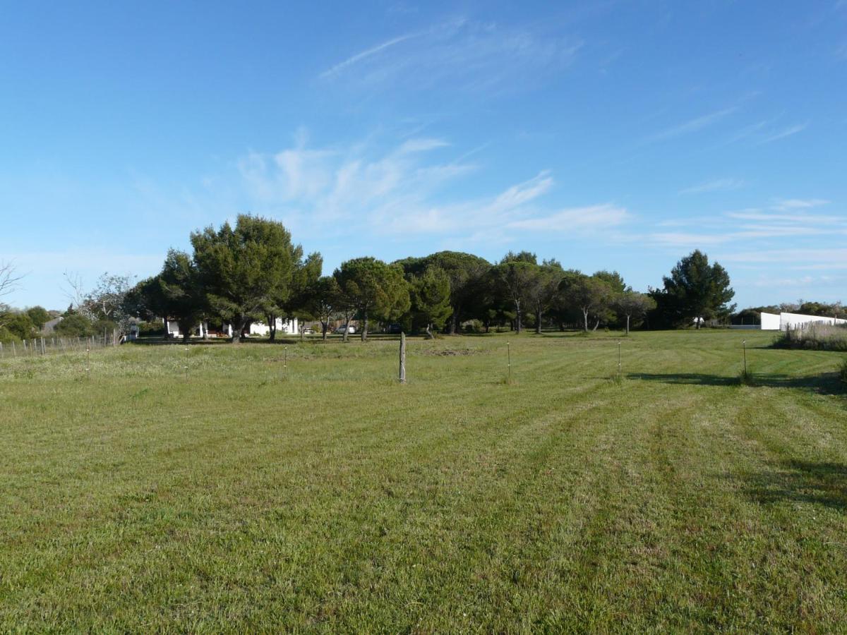 Mas Du Clos De La Barque Saintes-Maries-de-la-Mer Exteriér fotografie