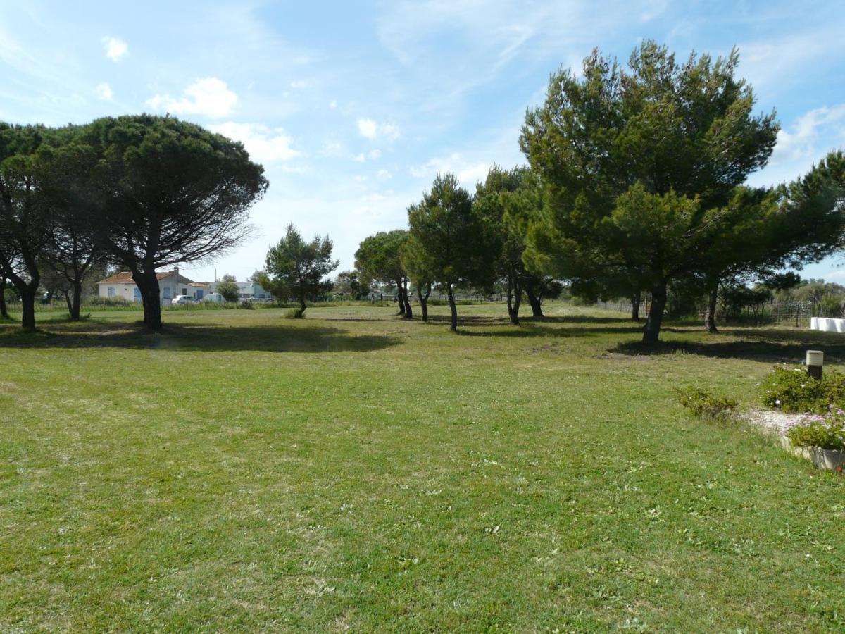 Mas Du Clos De La Barque Saintes-Maries-de-la-Mer Exteriér fotografie