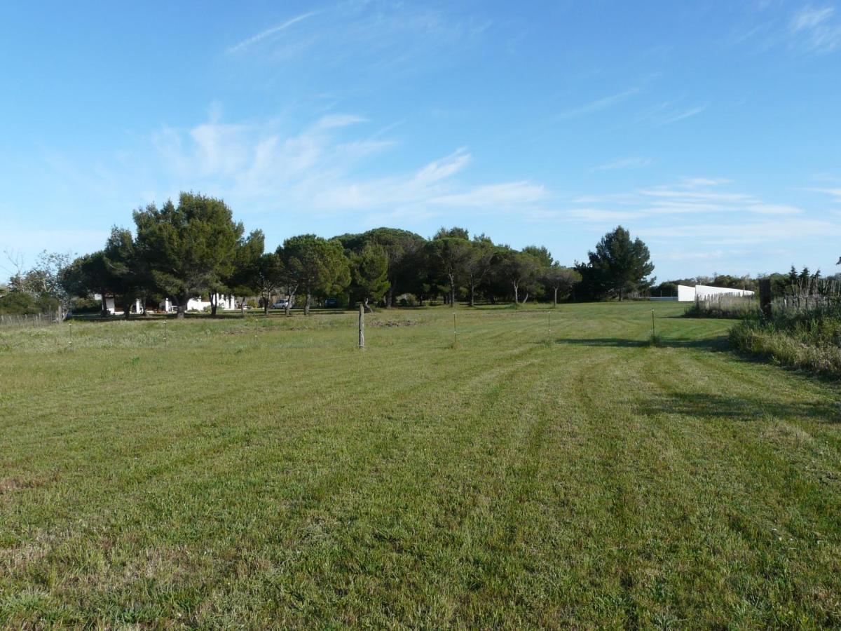 Mas Du Clos De La Barque Saintes-Maries-de-la-Mer Exteriér fotografie